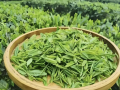 传统与现代融合：茶叶产品的创新与发展