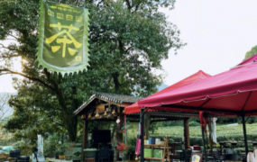 茶叶连锁专卖店平台招商