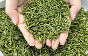 一泡不浓，却让人反复回购的白茶资源