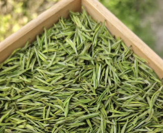 能现在喝，也值得慢慢放的白茶组合