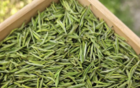 能现在喝，也值得慢慢放的白茶组合