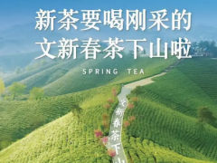 红茶出口量创新高，中国红茶正迎来黄金时代