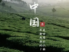 碧螺春创新工艺提升品质，绿色健康理念受欢迎