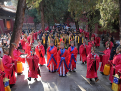 圣城茶香启新年，桂茶北国绽芳华