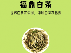 白茶行业标准化建设推动产业升级