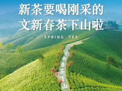 年轻一代的“精致慢生活”