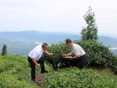 劳动力断层与机械化革命