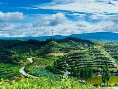 品牌化与讲故事的能力